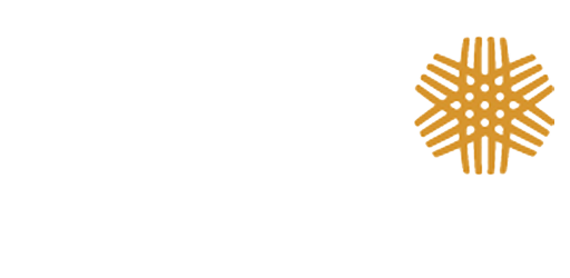 cefli logo